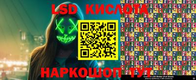 гидропоника Рязань