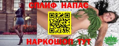 гидропоника Рязань
