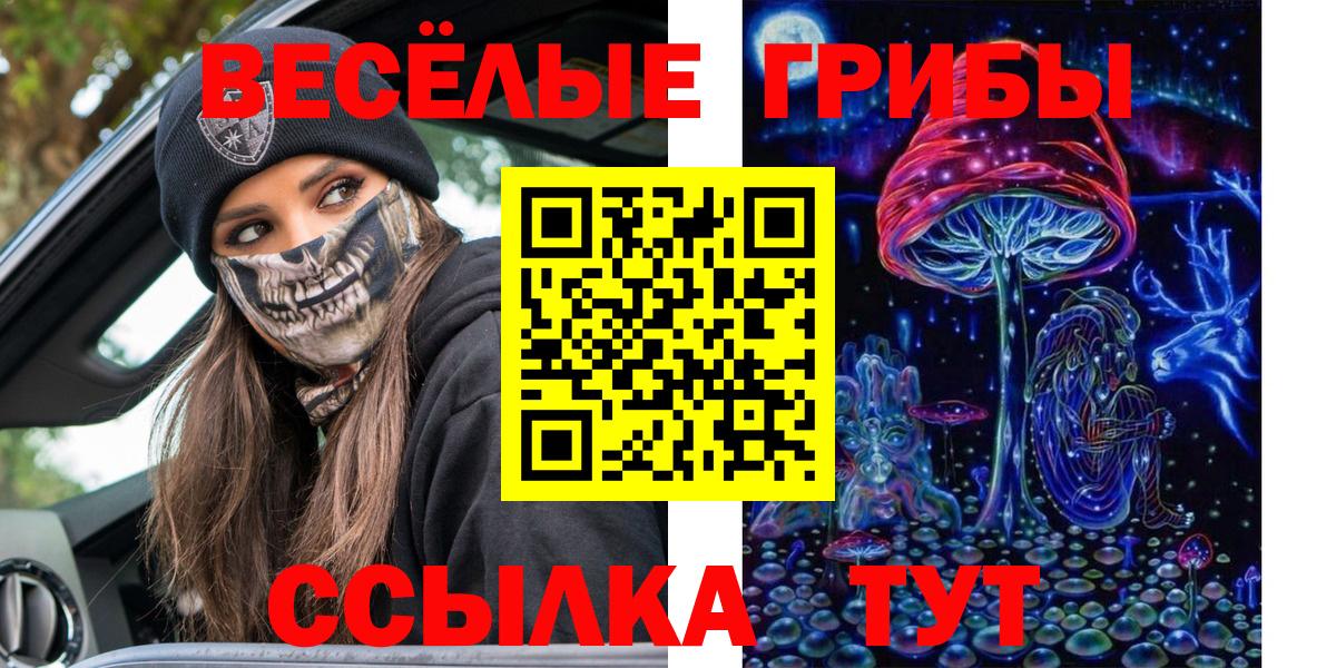 Псилоцибиновые грибы Cubensis Нижний Новгород