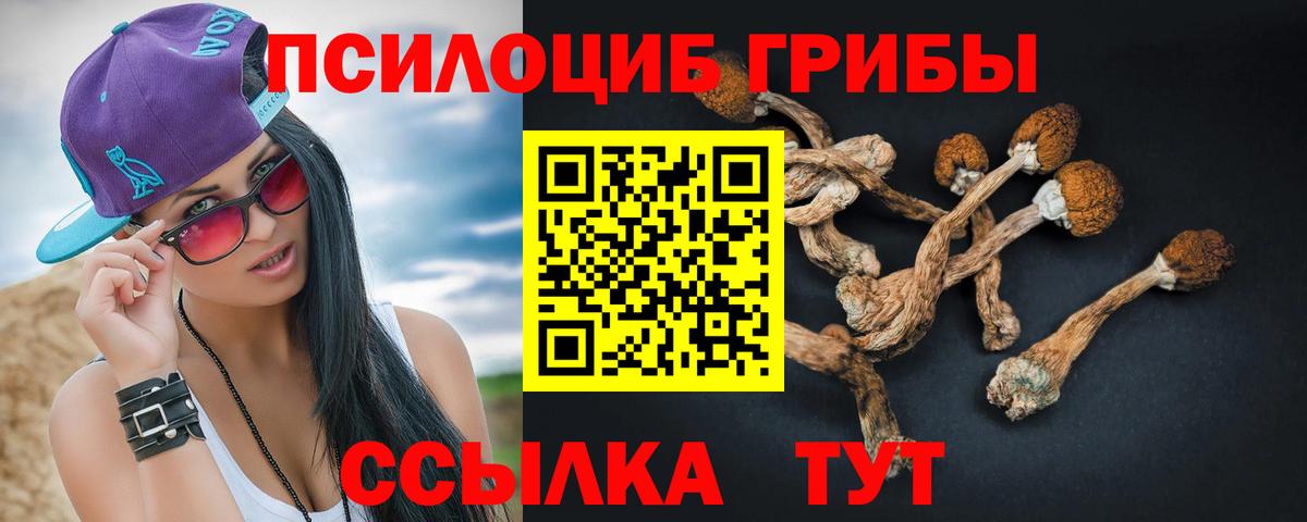 Нижний Новгород  Псилоцибиновые грибы прущие грибы  хочу наркоту  Вход с VPN  Галлюциногенные грибы мицелий 